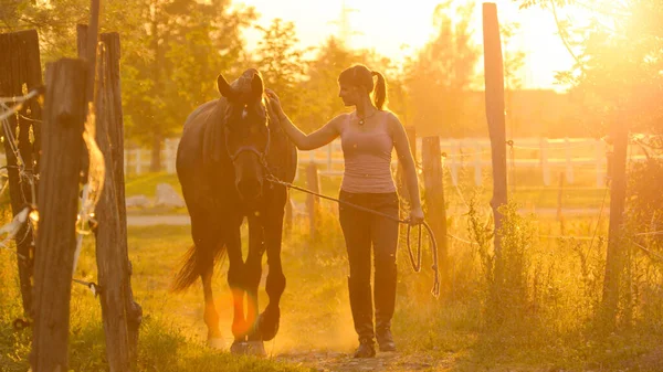 태양의 날개: 아름다운 말을 타고 초원의 오솔길을 걸어 다니는 쾌활 한 소녀. — 스톡 사진