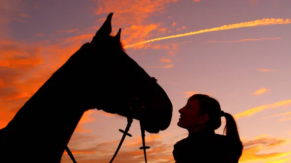 Šťastná dívka hledící do velkých koňských očí za slunečného letního rána — Stock fotografie