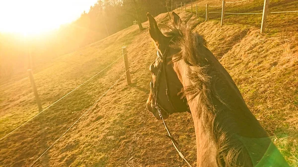 POV: 황금빛 조명 이 밝은 나라를 가로지르는 경치좋은 길을 말을 타고 달리는 모습. — 스톡 사진