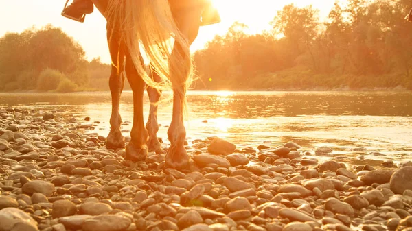LOW ANGLE: Unrecognizable person riding a horse along the riverbank at sunset. — Foto de Stock