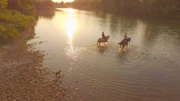 DRONE: Mladé ženy přecházejí klidnou řeku při jízdě na koních při východu slunce. — Stock fotografie