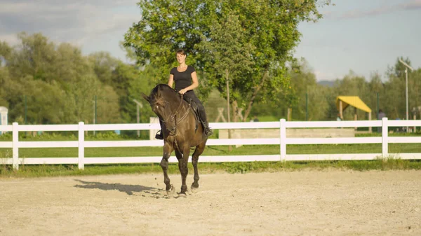Aktivní žena na koni její krásné hnědé valach kolem písečné venkovní arény. — Stock fotografie