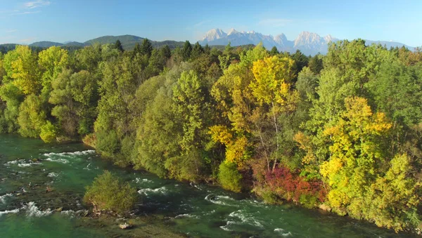 AERIAAL Vliegen over een prachtige blauwe rivier stroomt verleden herfst gekleurd bos. — Stockfoto