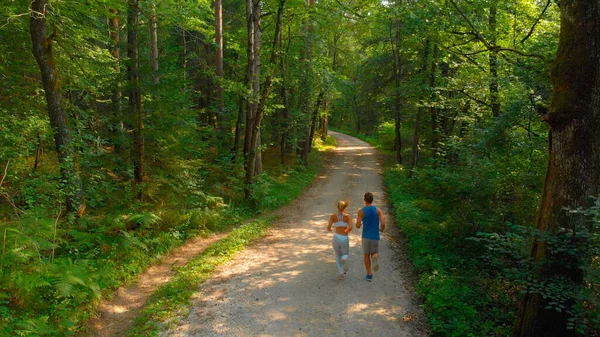 DRONE: Pareja atlética corriendo por el sendero de grava corriendo por el bosque . —  Fotos de Stock