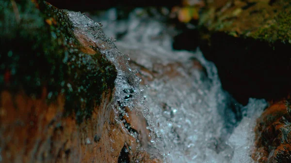 MACRO: річкова вода стискає моховинний каскад під час протікання через ліс . — стокове фото