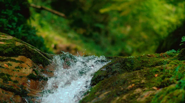 MACRO, DOF: Pure stream water droplets splashing over the moss covered rocks. — Foto de Stock