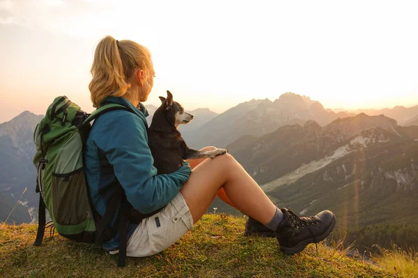 CHIUDI: La ragazza si siede sulla cima della montagna e accarezza il suo cane osservando la natura. — Foto Stock