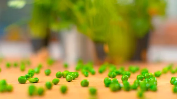 MACRO, DOF: Cinematic shot of homegrown green peas rolling down wooden counter. —  Fotos de Stock