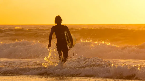SILHOUETTE: Gyllene morgonstrålar skiner på surfbrädan ner i vattnet. — Stockfoto