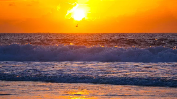 Lonely bird flies above the endless ocean wave and over the golden sunrise. — Foto Stock