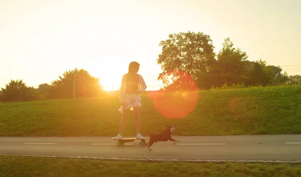 SUN FLARE: Sportief meisje te hard op haar longboard terwijl haar puppy loopt langs. — Stockfoto