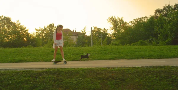 Adorable miniature pinscher runs along the happy woman riding her longboard. — Foto de Stock