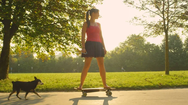 LENS FLARE: e-longboard 를 타고 다니는 주인을 따라 달리는 오래 된 소형 핀셔 — 스톡 사진