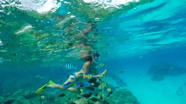 UNDERWATER: Young woman in blue interacting with colorful fish while snorkelling