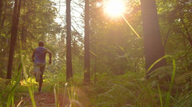 Düşük açılı altın güneş ışınları sakin ormanda koşan koşucunun üzerinde parlıyor.