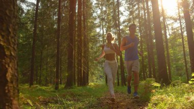 Bahar güneşleri ağaçların tepelerinde ve patika koşucularında parlıyor.