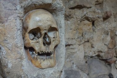 CLOSE UP: Scary view of a human skull in the concrete wall of an old graveyard.