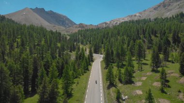 Motosiklet sürücüleri asfalt yolda ilerleyip ormandan geçiyorlar..