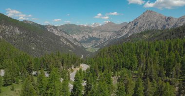 Fransa 'da ormanın içinden geçen boş bir asfalt yolda uçuyoruz..