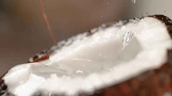 MACRO: Detailed view of water drops splashing into the fragrant ripe coconut. —  Fotos de Stock