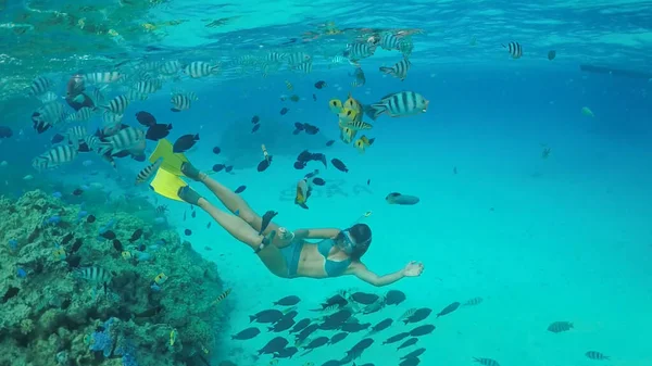 UNDERWATER: Tourist girl on vacation in Bora Bora swimming with tropical fish. — Foto Stock