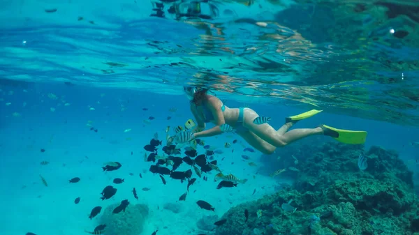 UNDERWATER: Young woman on vacation in Bora Bora swimming with tropical fish. — Foto Stock