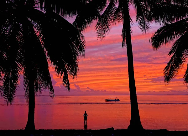 SILHOUETTE: Colorful dawn gently illuminates girl observing the serene ocean. — Photo