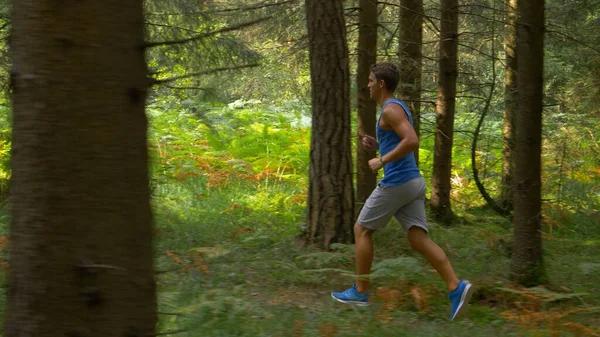 Fit Caucasian man running through the sunlit forest on a perfect summer day. —  Fotos de Stock