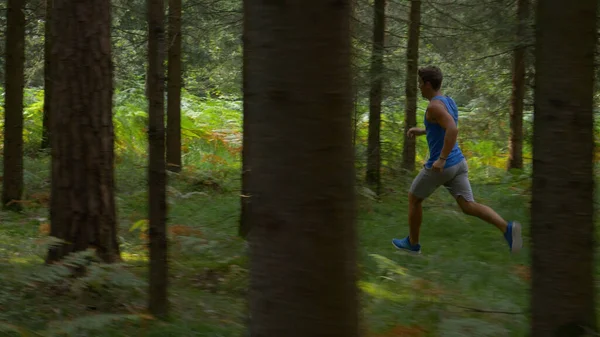 Sporty Caucasian man wearing a blue tank top jogging through the green forest. —  Fotos de Stock