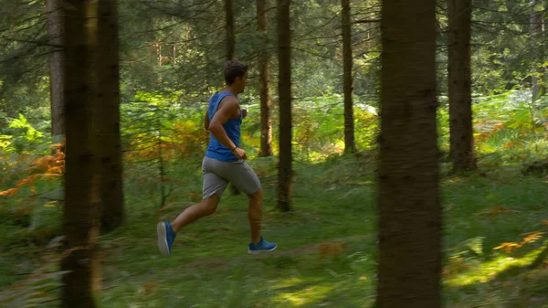 年轻的高加索运动员通过小径在凉爽的树林中跑步锻炼 — 图库照片