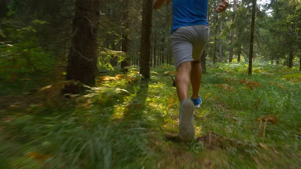 Κοντινό πλάνο: Αθλητής προετοιμασία για έναν αγώνα πόδι με τρέξιμο μέσα από το δάσος. — Φωτογραφία Αρχείου