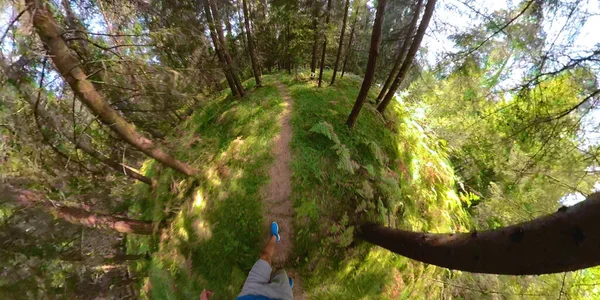 VR 360 : Sportif sur le sentier panoramique menant à travers la forêt . — Photo