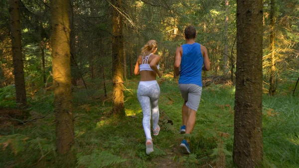 CERRAR: Mujer sana lleva a su novio a correr en el bosque de abetos iluminado por el sol . —  Fotos de Stock
