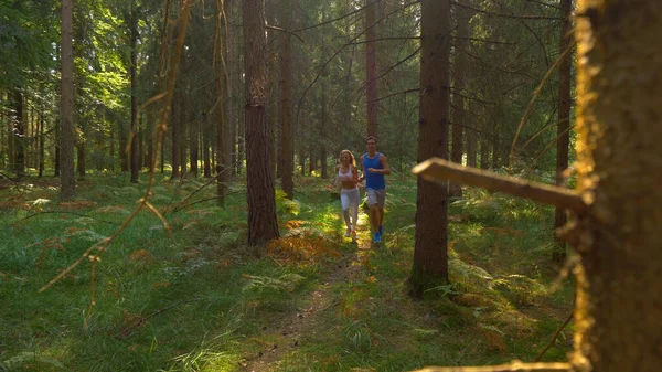 Ευτυχισμένο αθλητικό ζευγάρι πάει μονοπάτι τρέχει μέσα από το γαλήνιο κωνοφόρα δάσος. — Φωτογραφία Αρχείου