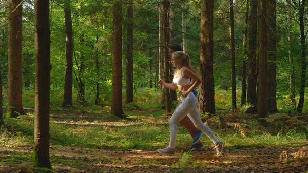 Vidám sportos pár fut keresztül az idilli fenyves erdőben a napsütéses napon. — Stock Fotó
