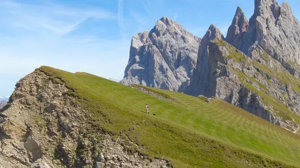 AÉRIAL : Voler à côté d'une jeune femme montant la colline herbeuse avec son chiot . — Photo