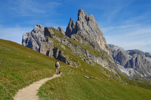 Unrecognizable hiker girl and puppy walk towards the towering rocky mountains. — Stok fotoğraf