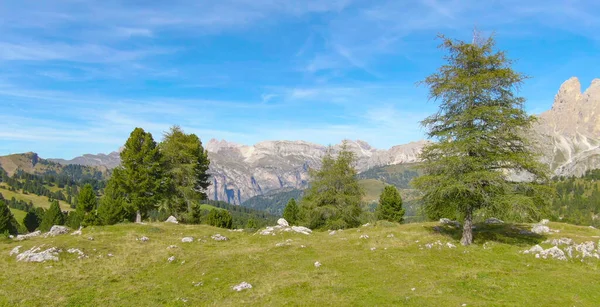 DRONE : Survoler un grand pâturage et vers les Dolomites par une journée ensoleillée de printemps — Photo