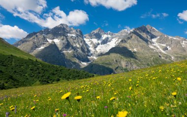 Picturesque view of the untouched nature under the snow capped mountains. clipart