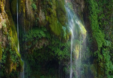 CLOSE UP: Small streams of glassy water flow down the moss covered stone wall.