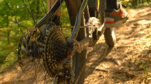 CLOSE UP: Detailed view of the rear wheel of bike as man pedals through woods — Foto Stock