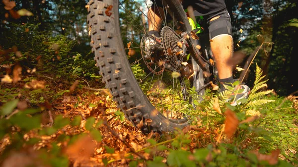 CERRAR: El sol brilla en una parte del sendero forestal a medida que el ciclista pasa la cámara —  Fotos de Stock