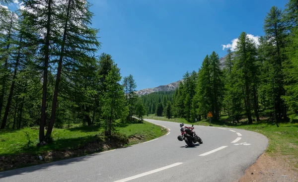 Unrecognizable tourist on a motorcycle rides into an empty turn in the forest — Φωτογραφία Αρχείου