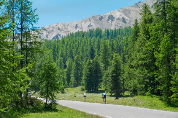 在阳光灿烂的法国阿尔卑斯山中，两名年轻的骑自行车者沿着风景秀丽的高速公路骑行. — 图库照片