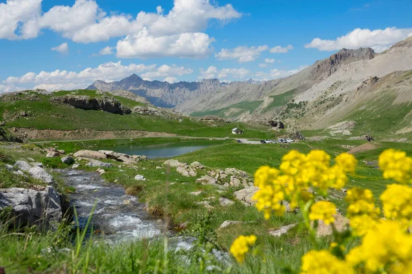 CLOSE UP: Stream flows past the small pond in the idyllic green mountains.