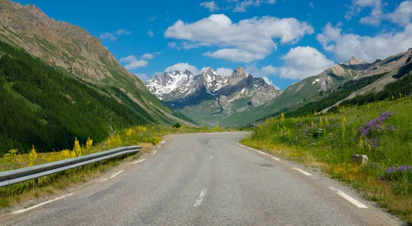 Bloeiende weiden en alpiene natuur omringen de schilderachtige bergweg in Frankrijk. — Stockfoto