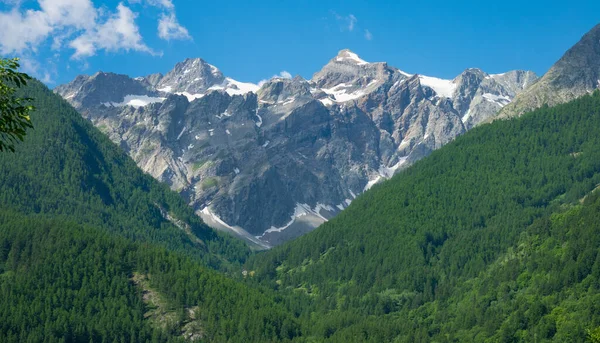 AERIAL: Dense coniferous forest covers the valley under breathtaking French Alps