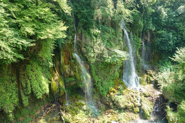 CLOSE UP: Small streams of emerald water flow down the moss covered stone wall. — Stockfoto