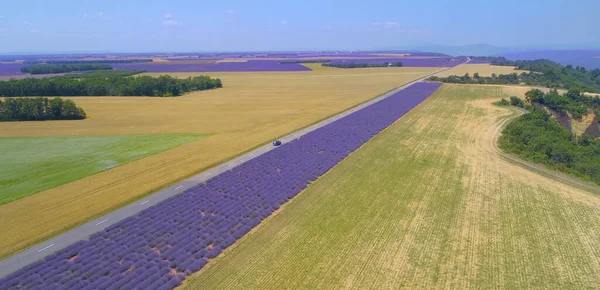 AERIELL Turister på väg resa köra förbi fält av lavendel och vete i Provence — Stockfoto