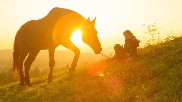 SILHOUETTE: Gran semental pastando al atardecer mientras la chica se sienta cerca en la hierba. — Foto de Stock